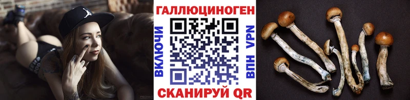 Псилоцибиновые грибы Psilocybe  Сердобск 